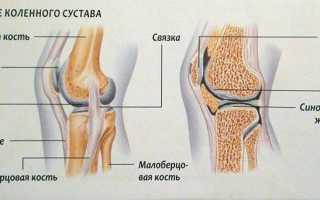 Болят ноги в коленях