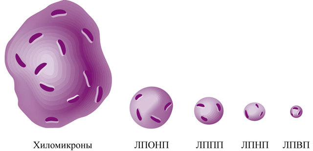 триглицериды